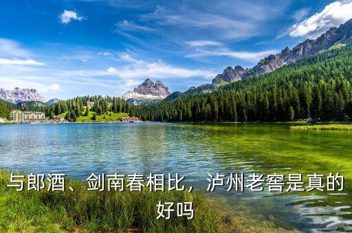 與郎酒、劍南春相比，瀘州老窖是真的好嗎