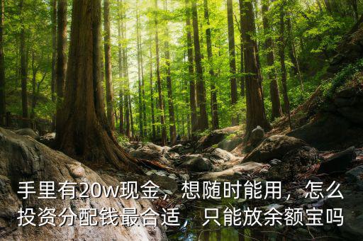 手里有20w現(xiàn)金，想隨時(shí)能用，怎么投資分配錢最合適，只能放余額寶嗎