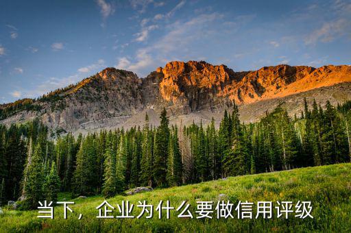 當(dāng)下，企業(yè)為什么要做信用評(píng)級(jí)