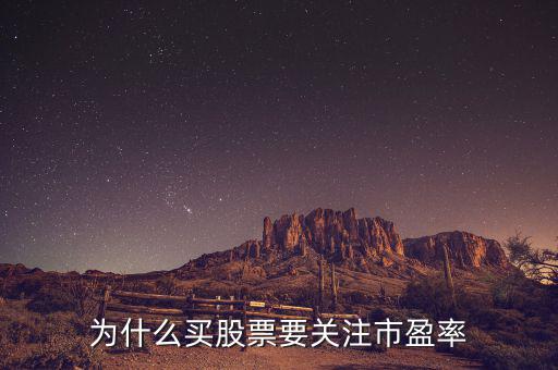 為什么買(mǎi)股票要關(guān)注市盈率