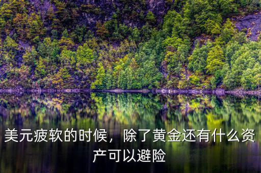 美元疲軟的時候，除了黃金還有什么資產(chǎn)可以避險