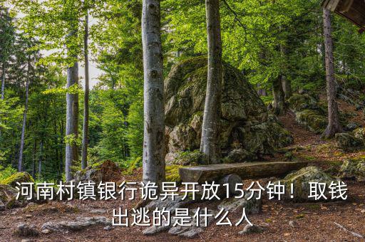 河南村鎮(zhèn)銀行詭異開放15分鐘！取錢出逃的是什么人