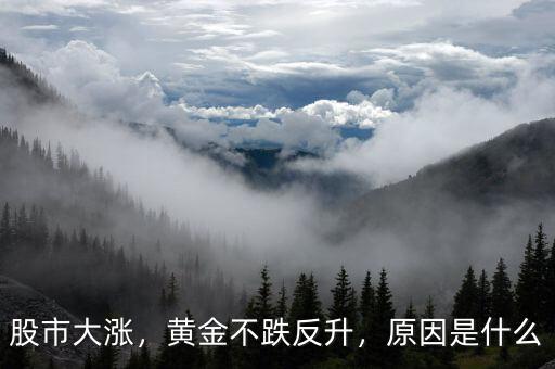 股市大漲，黃金不跌反升，原因是什么
