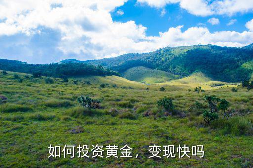 如何投資黃金，變現(xiàn)快嗎