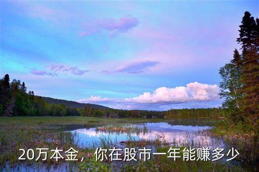 20萬本金，你在股市一年能賺多少