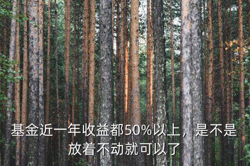 基金近一年收益都50%以上，是不是放著不動(dòng)就可以了