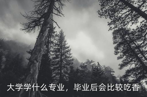 大學(xué)讀什么專業(yè)最賺錢(qián),什么專業(yè)前景比較好