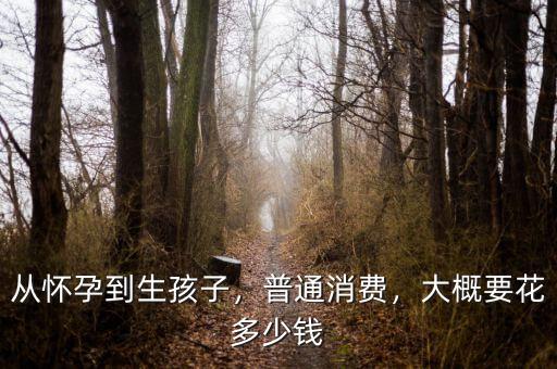 從懷孕到生孩子，普通消費(fèi)，大概要花多少錢