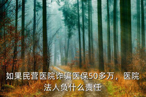 如果民營醫(yī)院詐騙醫(yī)保50多萬，醫(yī)院法人負什么責任