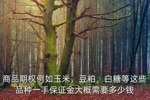 商品期權(quán)例如玉米，豆粕，白糖等這些品種一手保證金大概需要多少錢