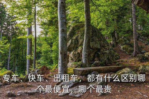 專車(chē)、快車(chē)、出租車(chē)，都有什么區(qū)別哪個(gè)最便宜，哪個(gè)最貴