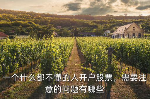 一個什么都不懂的人開戶股票，需要注意的問題有哪些
