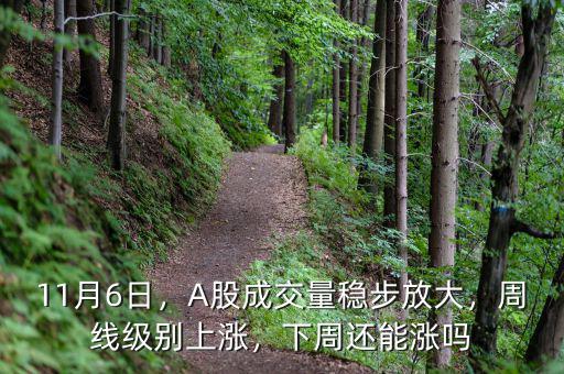 11月6日，A股成交量穩(wěn)步放大，周線級(jí)別上漲，下周還能漲嗎