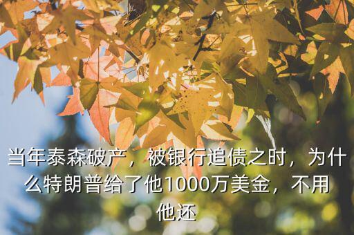 當(dāng)年泰森破產(chǎn)，被銀行追債之時(shí)，為什么特朗普給了他1000萬美金，不用他還
