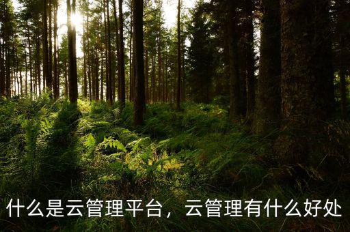 什么是云管理平臺(tái)，云管理有什么好處