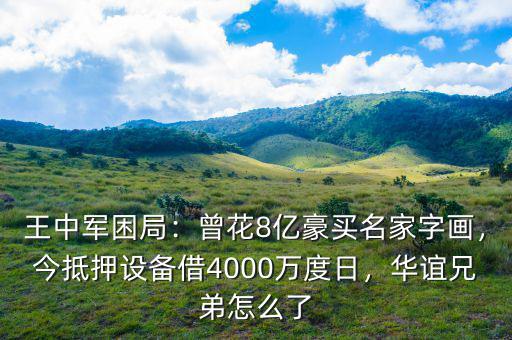 王中軍困局：曾花8億豪買名家字畫，今抵押設(shè)備借4000萬度日，華誼兄弟怎么了