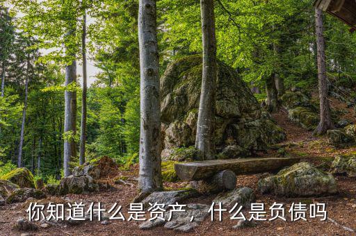 你知道什么是資產(chǎn)，什么是負(fù)債嗎