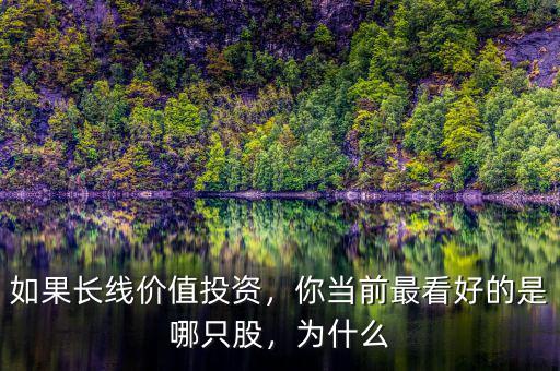 如果長線價值投資，你當前最看好的是哪只股，為什么