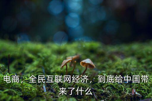 電商，全民互聯(lián)網(wǎng)經(jīng)濟(jì)，到底給中國帶來了什么