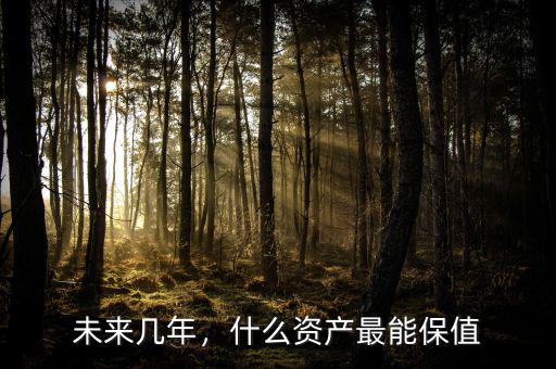 未來幾年，什么資產(chǎn)最能保值