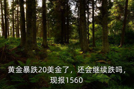 黃金暴跌20美金了，還會(huì)繼續(xù)跌嗎，現(xiàn)報(bào)1560