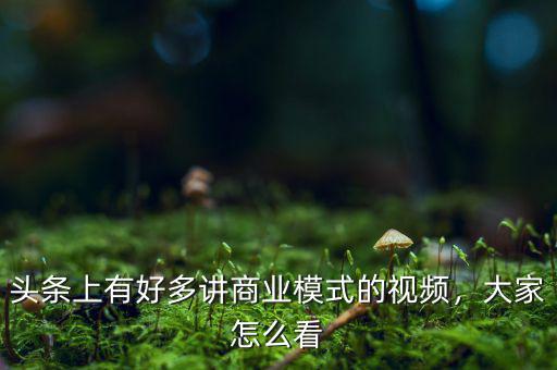 頭條上有好多講商業(yè)模式的視頻，大家怎么看