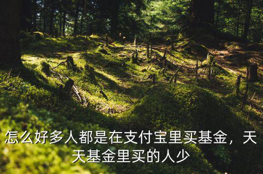 怎么好多人都是在支付寶里買(mǎi)基金，天天基金里買(mǎi)的人少
