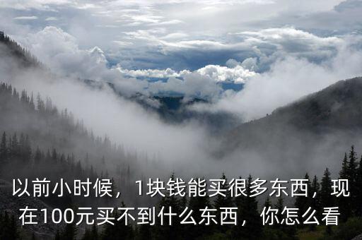 以前小時候，1塊錢能買很多東西，現(xiàn)在100元買不到什么東西，你怎么看