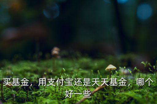 買(mǎi)基金，用支付寶還是天天基金，哪個(gè)好一些