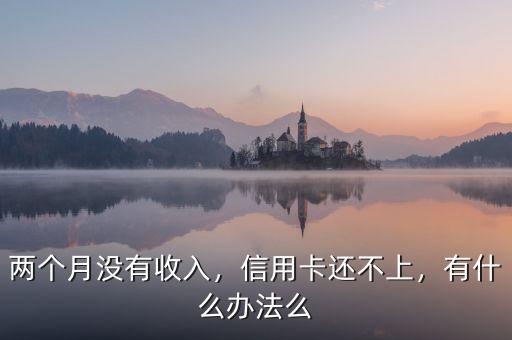 兩個月沒有收入，信用卡還不上，有什么辦法么