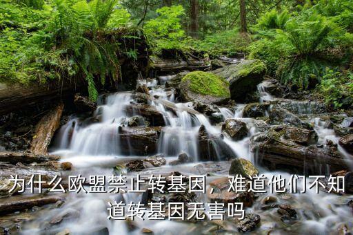 為什么歐盟禁止轉(zhuǎn)基因，難道他們不知道轉(zhuǎn)基因無害嗎