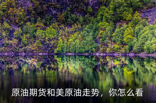 原油期貨和美原油走勢(shì)，你怎么看