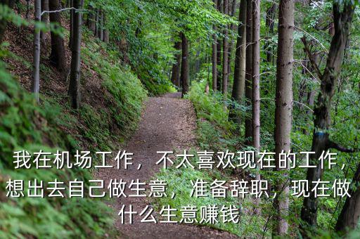 我在機場工作，不太喜歡現(xiàn)在的工作，想出去自己做生意，準備辭職，現(xiàn)在做什么生意賺錢