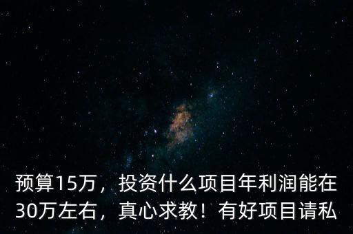 預算15萬，投資什么項目年利潤能在30萬左右，真心求教！有好項目請私