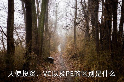 天使投資、VC以及PE的區(qū)別是什么