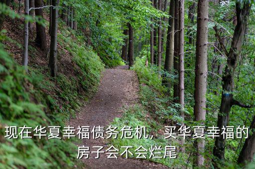 現(xiàn)在華夏幸福債務(wù)危機(jī)，買華夏幸福的房子會(huì)不會(huì)爛尾