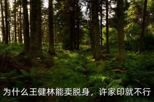 為什么王健林能賣(mài)脫身，許家印就不行