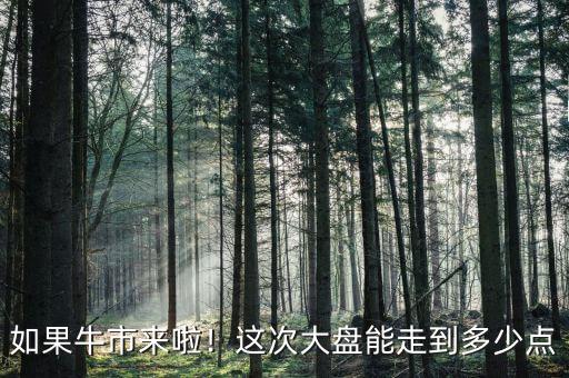 如果牛市來啦！這次大盤能走到多少點