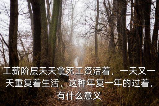 工薪階層天天拿死工資活著，一天又一天重復(fù)著生活，這種年復(fù)一年的過著，有什么意義