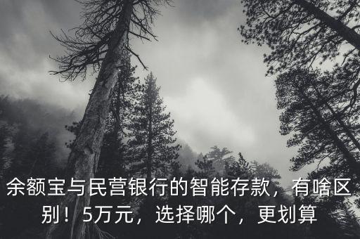 余額寶與民營銀行的智能存款，有啥區(qū)別！5萬元，選擇哪個(gè)，更劃算