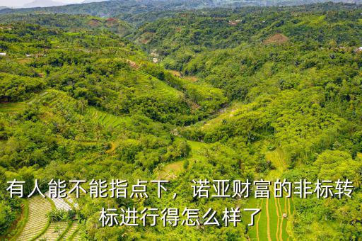 有人能不能指點(diǎn)下，諾亞財(cái)富的非標(biāo)轉(zhuǎn)標(biāo)進(jìn)行得怎么樣了