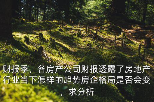 財報季，各房產(chǎn)公司財報透露了房地產(chǎn)行業(yè)當下怎樣的趨勢房企格局是否會變，求分析