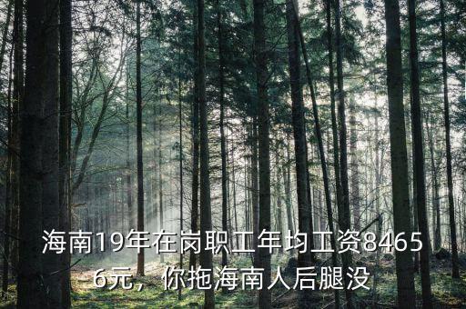 海南19年在崗職工年均工資84656元，你拖海南人后腿沒