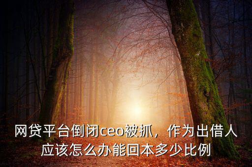 網(wǎng)貸平臺(tái)倒閉ceo被抓，作為出借人應(yīng)該怎么辦能回本多少比例