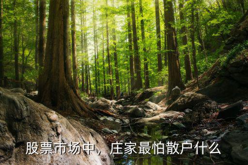 股票市場(chǎng)中，莊家最怕散戶什么