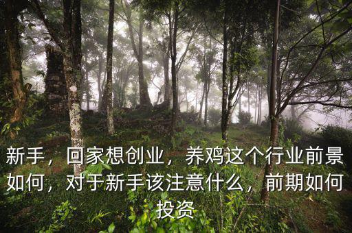 新手，回家想創(chuàng)業(yè)，養(yǎng)雞這個(gè)行業(yè)前景如何，對(duì)于新手該注意什么，前期如何投資