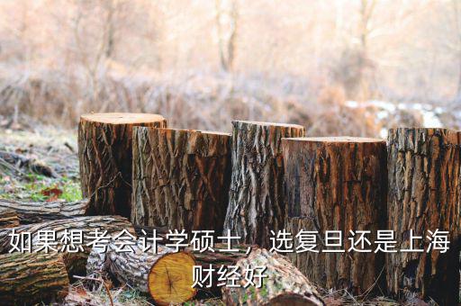 上海高金會計(jì)學(xué)怎么樣,上海大學(xué)的會計(jì)專業(yè)怎么樣