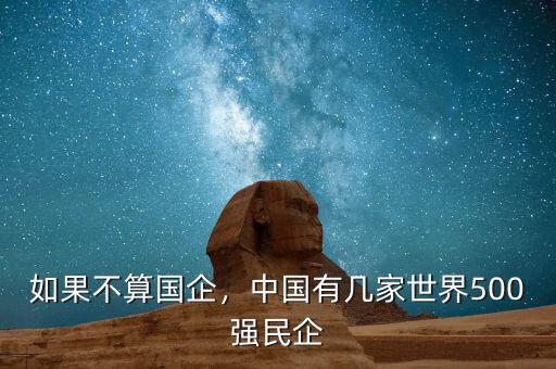 如果不算國企，中國有幾家世界500強民企