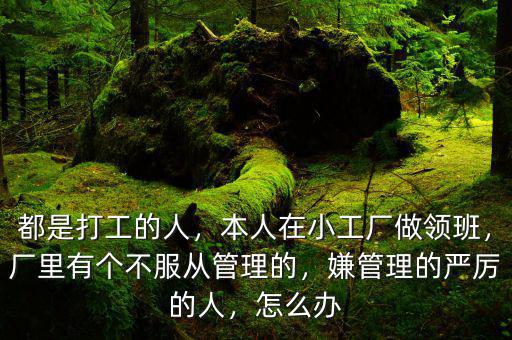 都是打工的人，本人在小工廠(chǎng)做領(lǐng)班，廠(chǎng)里有個(gè)不服從管理的，嫌管理的嚴(yán)厲的人，怎么辦