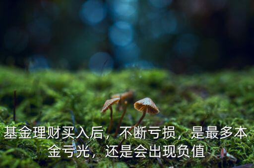 基金理財買入后，不斷虧損，是最多本金虧光，還是會出現(xiàn)負值